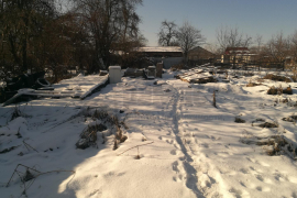 Земельный участок в Гизеле