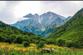 Участок-мечта Дзинага