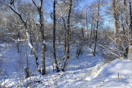 Дом 34,3 м² на участке 3 сот.