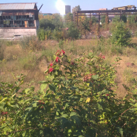 Зем. участок в р-не Архон. круга