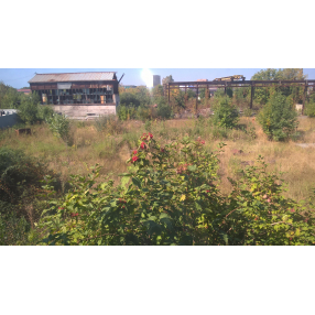 Зем. участок в р-не Архон. круга