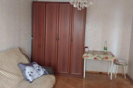 1-комн. квартира, 31,3 м²

