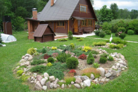 Могут ли изъять дачный участок, если он не осваивается  