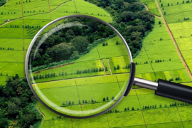 Когда начнут выявлять нарушения на земельных участках, рассказали в Росреестре