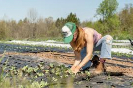 Дачникам дали 3 года на освоение земли. Что будет, если не успеешь